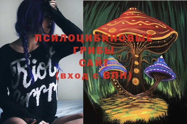 ГАЛЛЮЦИНОГЕННЫЕ ГРИБЫ Туринск