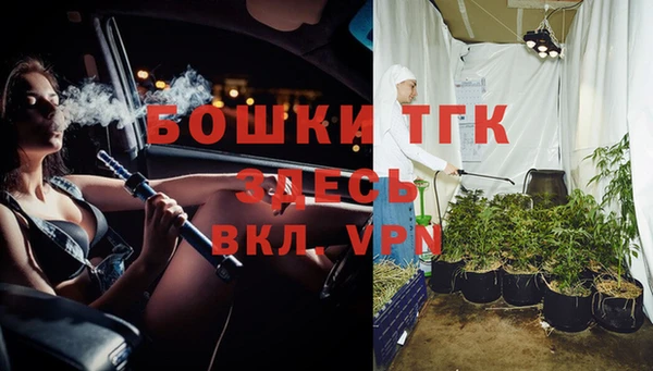 ГАЛЛЮЦИНОГЕННЫЕ ГРИБЫ Туринск