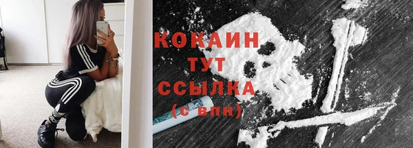 ГАЛЛЮЦИНОГЕННЫЕ ГРИБЫ Туринск