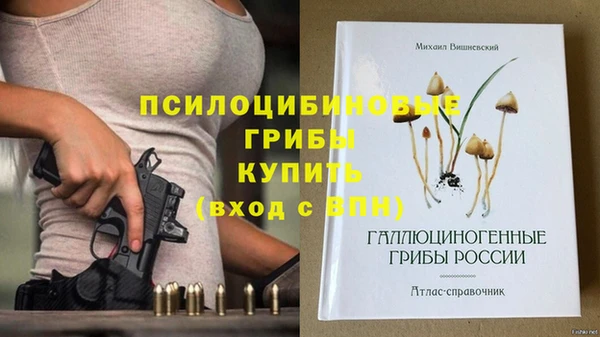 гидропоника Тында