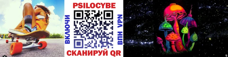 Купить где  Жиздра  Псилоцибиновые грибы ЛСД 